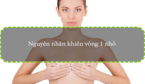 nguyên nhân khiến vòng 1 nhỏ đi